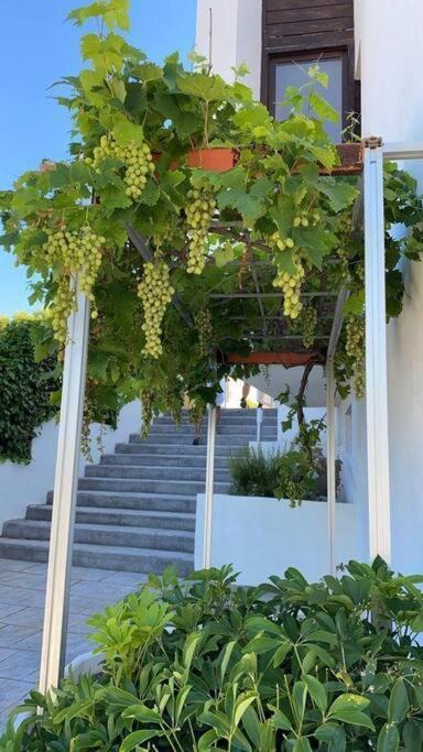 Villa En Oropesa Oropesa del Mar Zewnętrze zdjęcie